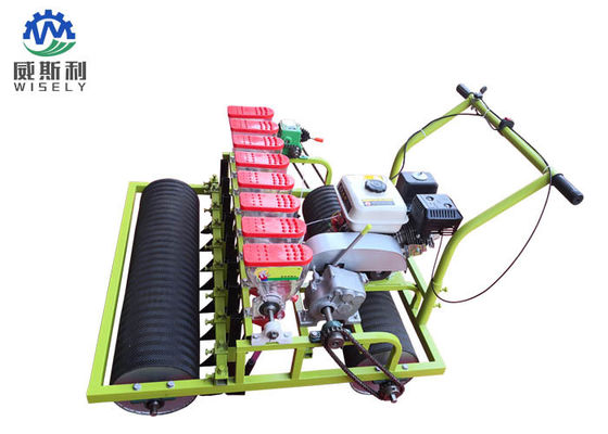 Китай Бензиновый двигатель 8 рядов машин для посадки зеленых салатов в сельское хозяйство поставщик